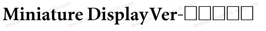 Miniature DisplayVer字体转换